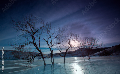 The image of Bashang in Hebei, China