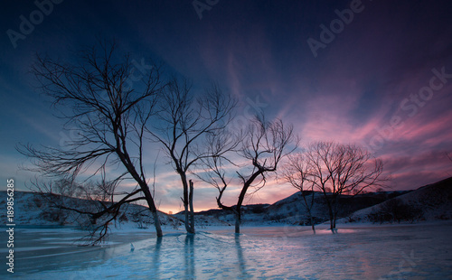 The image of Bashang in Hebei, China