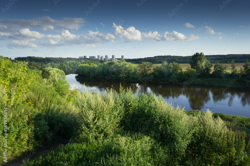 summer landscape. High grass and river under the blue sky