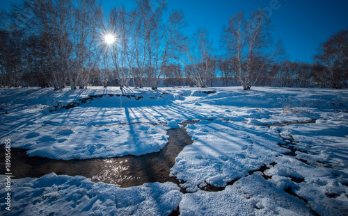 The landscape of Bashang in Hebei, China