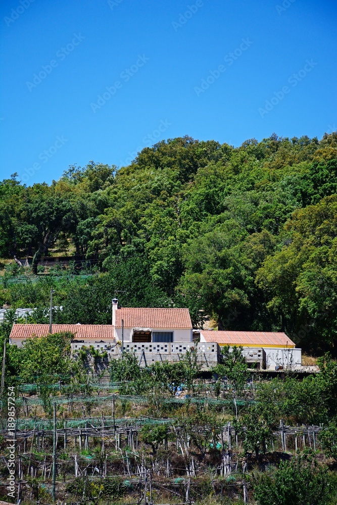 Traditional farmhouse in the Monchique mountains, Monchique, Algarve, Portugal. Traditional farmhouse in the Monchique mountains, Monchique, Algarve, Portugal.