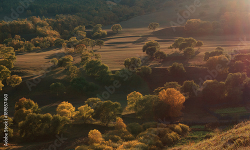 The landscape of Bashang in Hebei, China