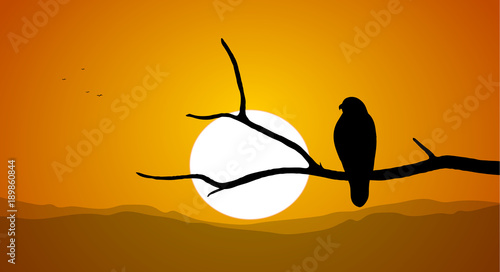 Silhouette of Buzzard sitting on a dry branch against the setting sun.