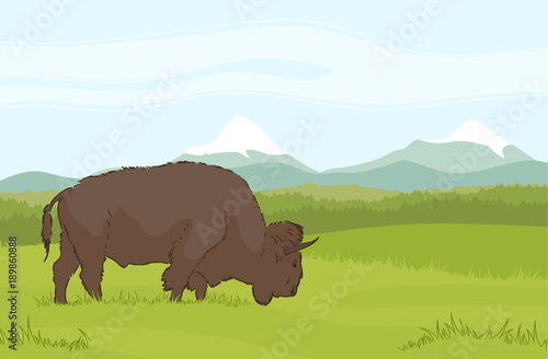 One buffalo on natural mountains background. Landscape