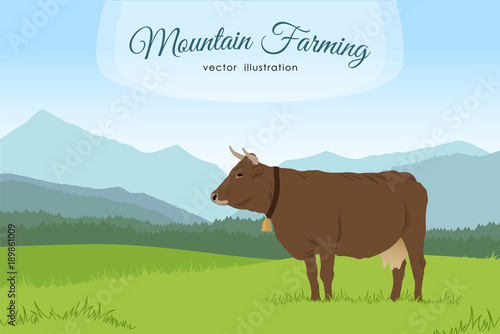 Cow and rural meadow on the mountain background. Natural landscape.
