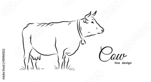 Hand-drawn isolated Cow on white background. Line design