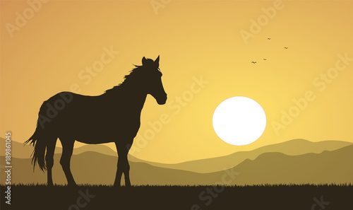 Landscape with sunset and horse silhouette.