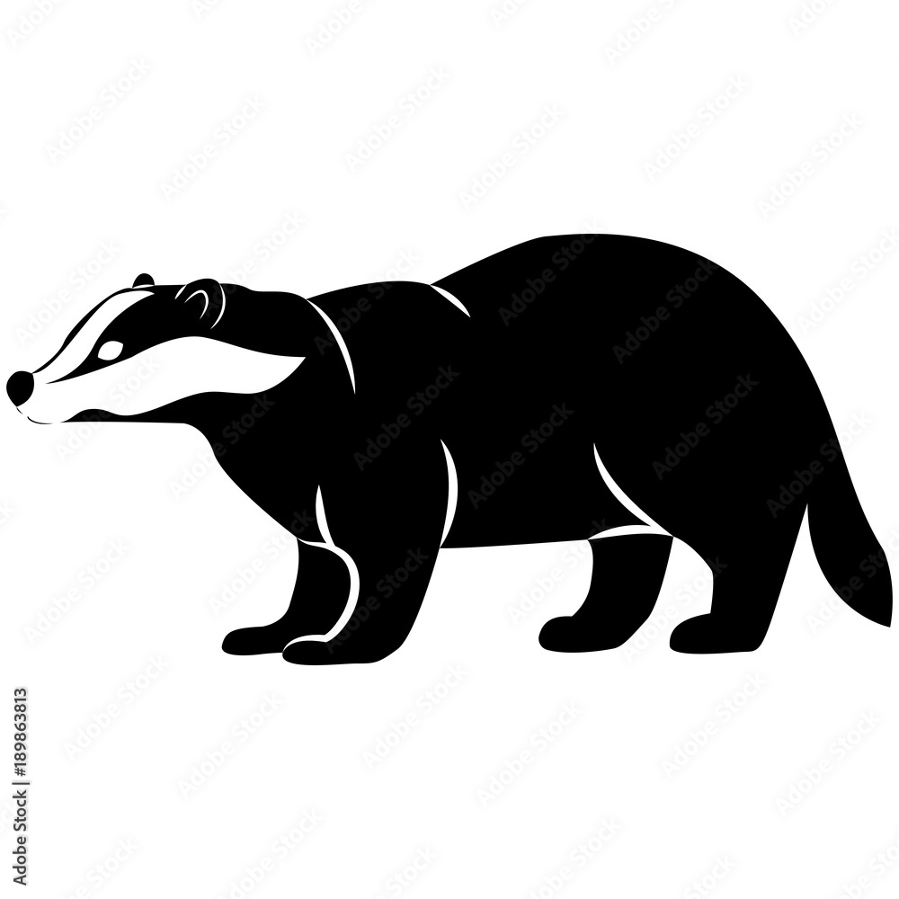 Vector image of badger silhouette on isolated white background