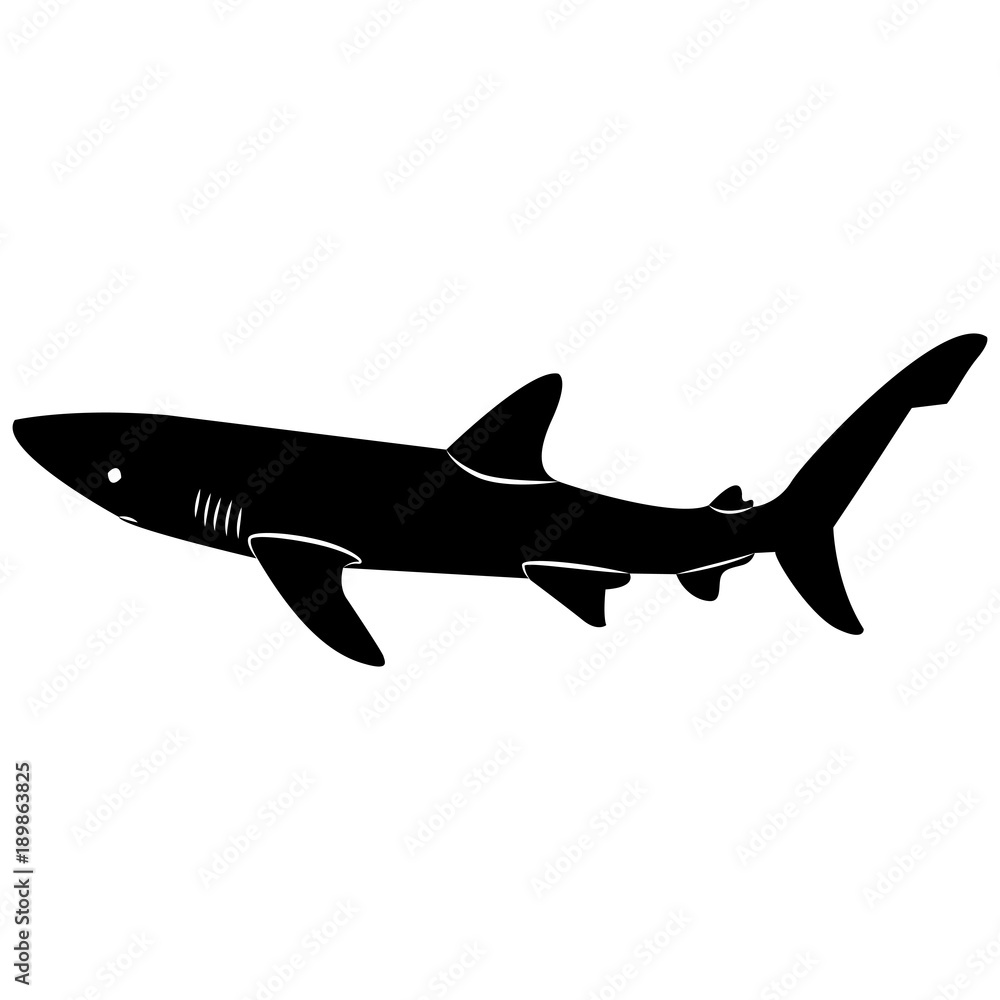 Vector image of a shark silhouette on a white background Stock Vector ...
