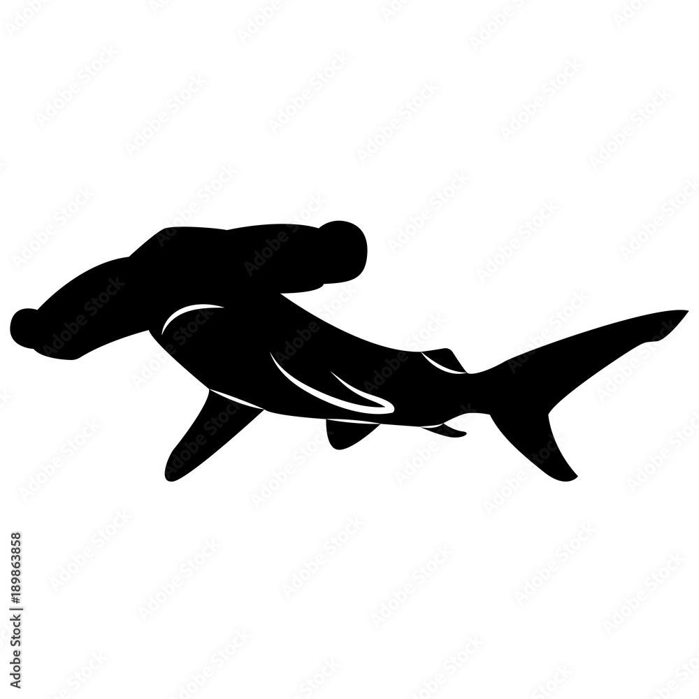 Vector image of a shark silhouette on a white background Vector image of a shark silhouette on a white background