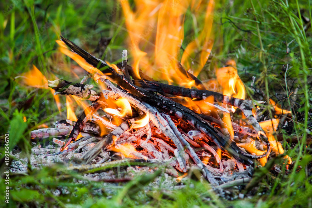 The fire in the green grass. A fire in the woods. Barbecue on the nature, picnic. The fire in the green grass. A fire in the woods. Barbecue on the nature, picnic.
