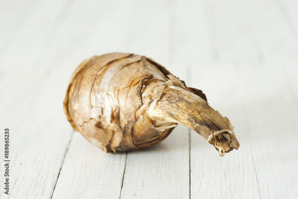 narcissus root balls narcissus root balls
