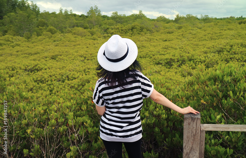 One Female Tourist Admiring Vibrant Green Golden Mangrove Field in Rayong Province of Thailand