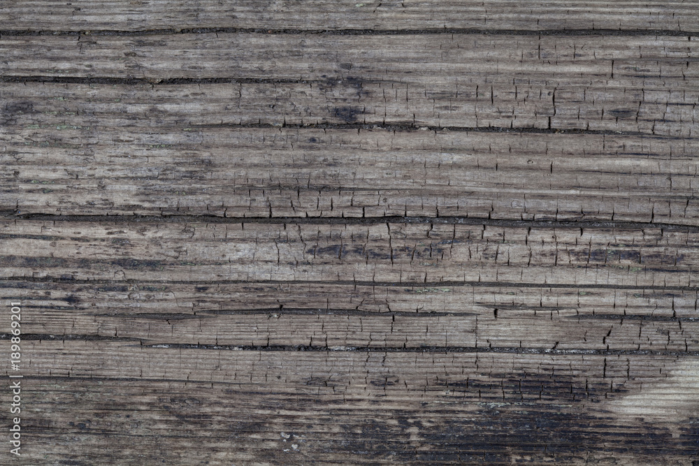 Background with an interesting texture of old wood Background with an interesting texture of old wood