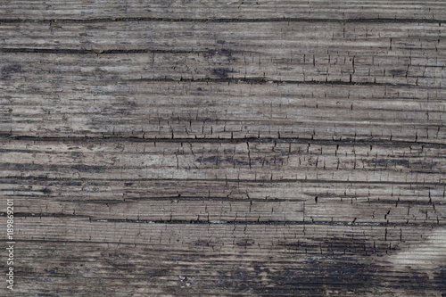 Background with an interesting texture of old wood