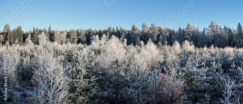 Panorama of a cold frozen d...