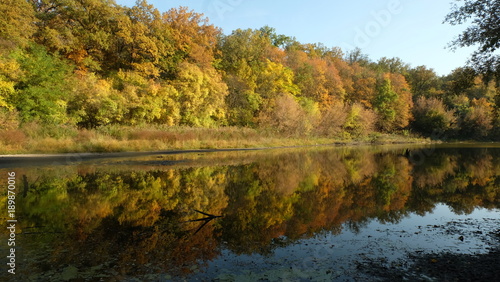 Autumn forest with reflection in the lake.