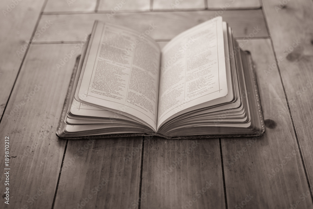 Obraz premium Old book in sepia