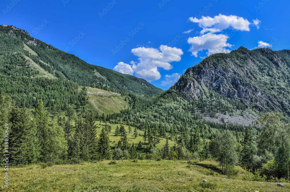 Picturesque summer mountain landscape at sunny day, Altai mountains, Siberia, Russia