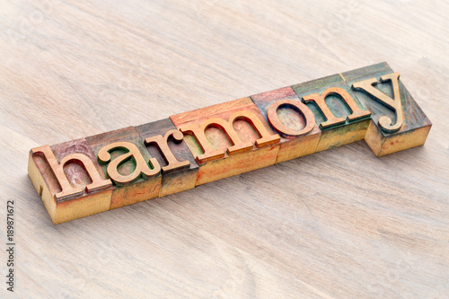 Canvas-taulu harmony word abstract in wood type