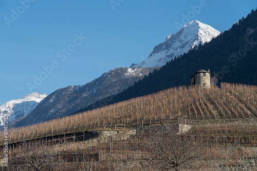 Agricultural landscape on the hills of Aosta valley, Italy