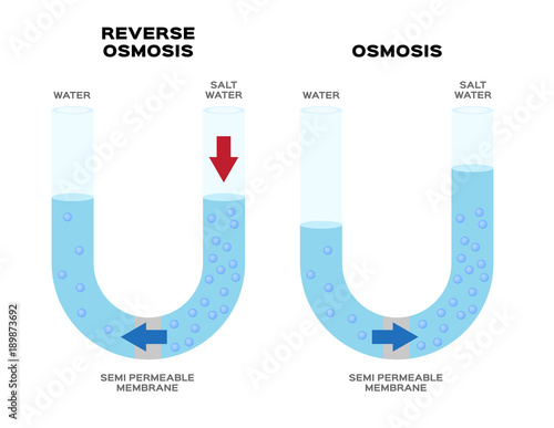 osmosis and reverse osmosis infographic vector