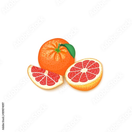 Composition of tropical grapefruit fruits. Vector card illustration. Group of ripe vector citrus pomelo fruit whole and slice for design of food packaging breakfast  detox  cosmetics cream  jam  juice