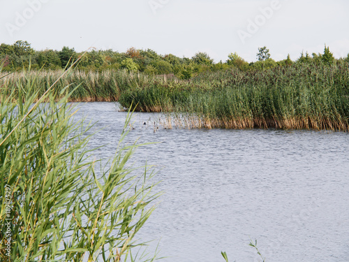 Saaremaa