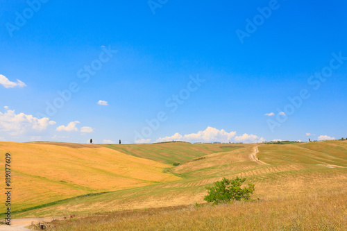 Tuscany hills landscape  Italy