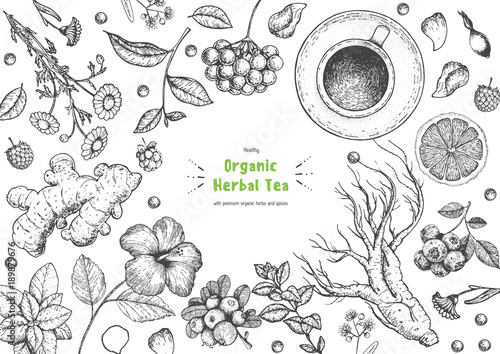 Herbal Tea shop frame vector illustration. Vector design with herbal ingredients. Hand drawn sketch collection. Engraved style.