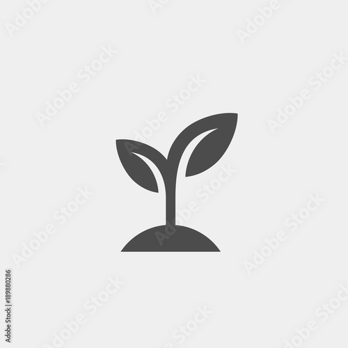 Sprout flat vector icon