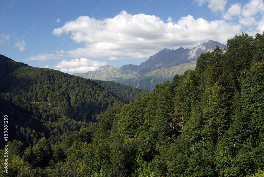 a view of the mountains covered with a dense green forest, in the Caucasian Reserve