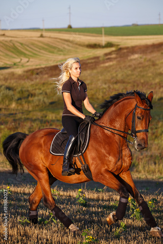 Horse, active recreation, sport and equestrian concept - sports woman on horse