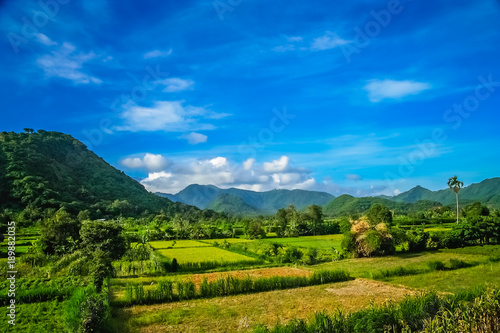 Dense tropical landscape of Bali