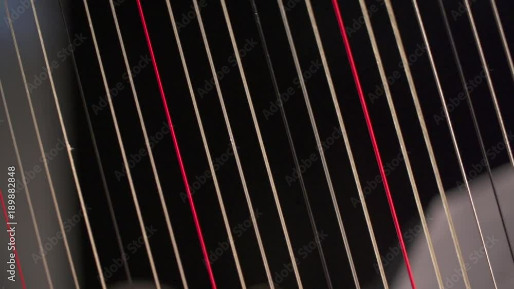 harp's chords detail, close up harp's chords detail, close up