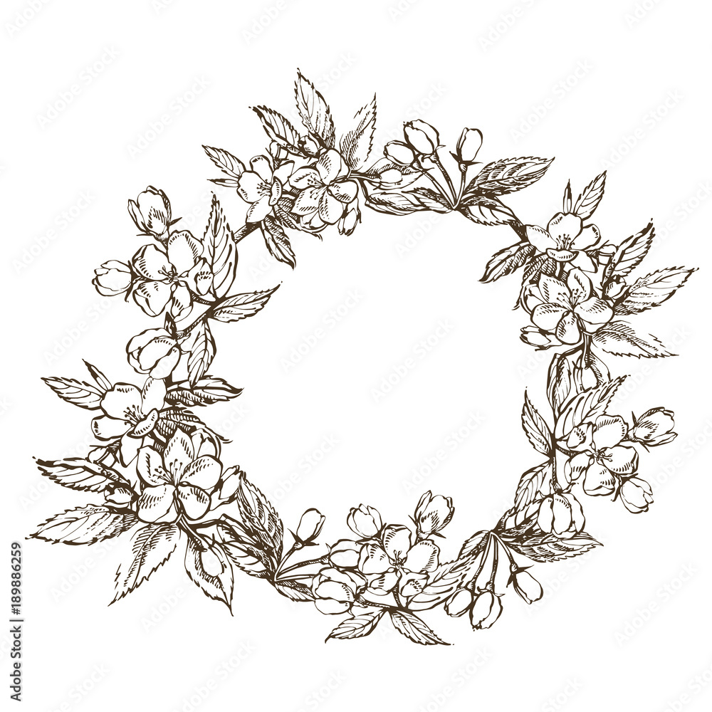 Branches of apple blossom. Floral wreath. Graphic round border. Branches of apple blossom. Floral wreath. Graphic round border.