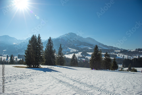 winterlandscape with blue sky and sun shining
