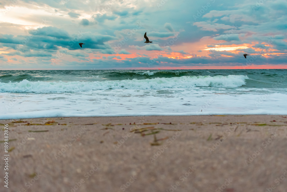 Fototapeta premium ground view of the sandy shore with birds flying by on an early cloudy morning