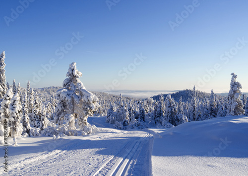 Norefjell / Norway: Perfectly prepared cross-country skiing trail through the beautiful winter landscape photo