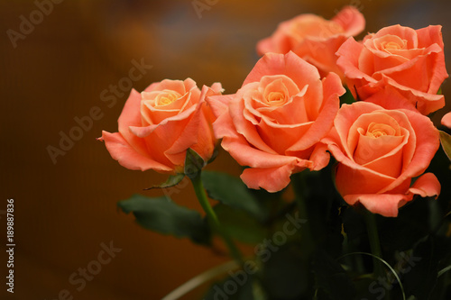 Bouquet of live orange-pink roses close-up  floral background.