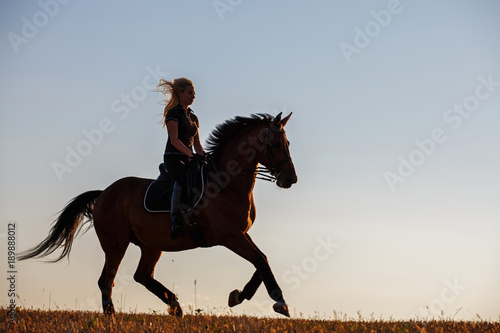 Beautiful horse with girl silhouette