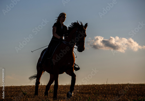 Beautiful sensuality elegance woman cowgirl silhouette, riding a horse.