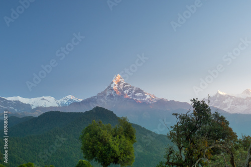 Peak of mountain Machapuchare in the rays of the rising sun with a beautiful forest in the foreground. Nepal, Himalaya