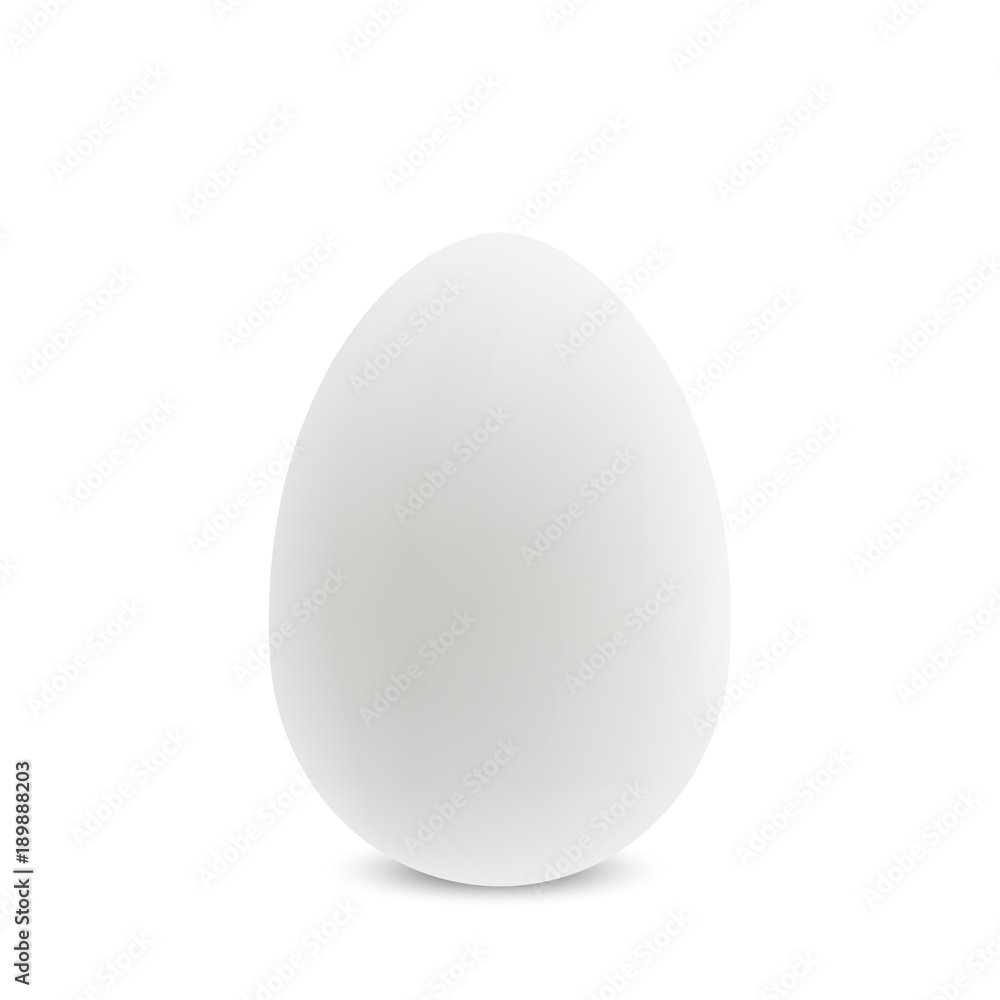 Vector white single realistic egg. Vector white single realistic egg.