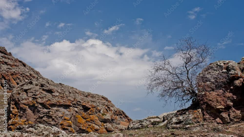 Deadwood In A Rock With Cloudy Sky On Foreground Deadwood In A Rock With Cloudy Sky On Foreground