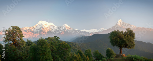 Panoramic mountain landscape. The majestic mountains Annapurna and Machapuchare and the dense green forest around. Nepal, Mardi Himal trek photo