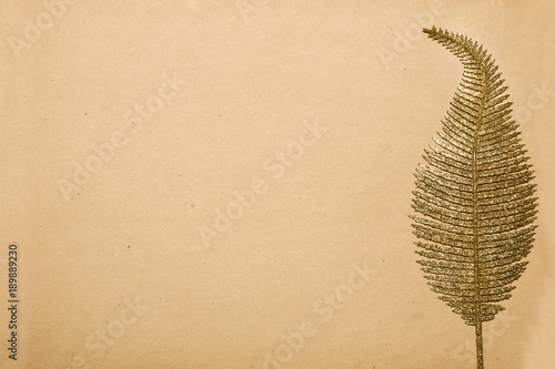 golden feather on right, on a background of old vintage paper photo