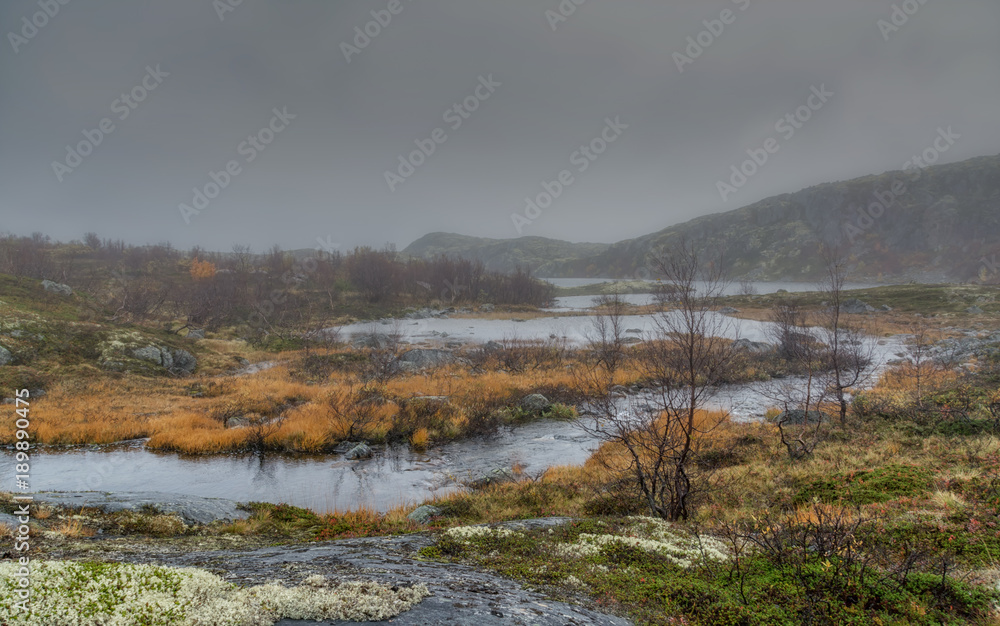 A gloomy rainy autumn landscape with hills covered with moss and streams in the tundra. Cold northern nature. Kola Peninsula, Russia.