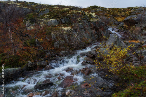 A gloomy autumn landscape with hills covered with moss and a stream in the tundra. Cold northern nature. Kola Peninsula, Russia.