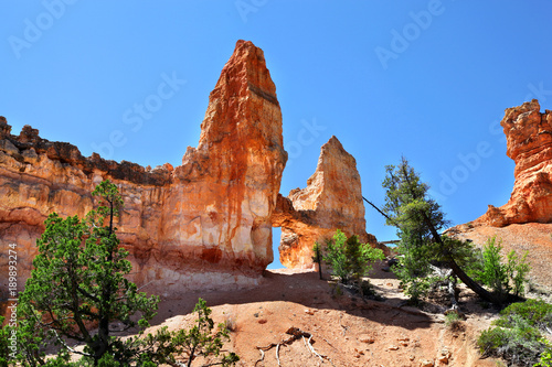 Tower Bridge Rock formation in Bryce Canyon National Park